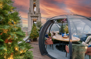 Image of Christmas Day at Aviary